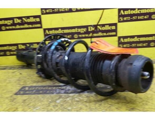 Shock Absorber SEAT Ibiza IV (6J5, 6P1), SEAT Ibiza IV Sportcoupe (6J1, 6P5)