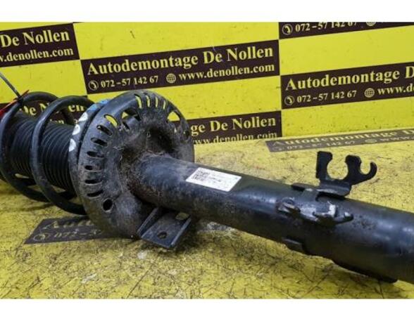 Shock Absorber SEAT Ibiza IV (6J5, 6P1), SEAT Ibiza IV Sportcoupe (6J1, 6P5)