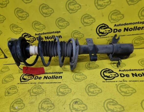 Shock Absorber RENAULT CLIO III (BR0/1, CR0/1), RENAULT CLIO IV (BH_)