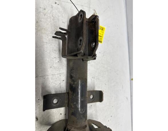 Shock Absorber RENAULT CLIO III (BR0/1, CR0/1), RENAULT CLIO IV (BH_)