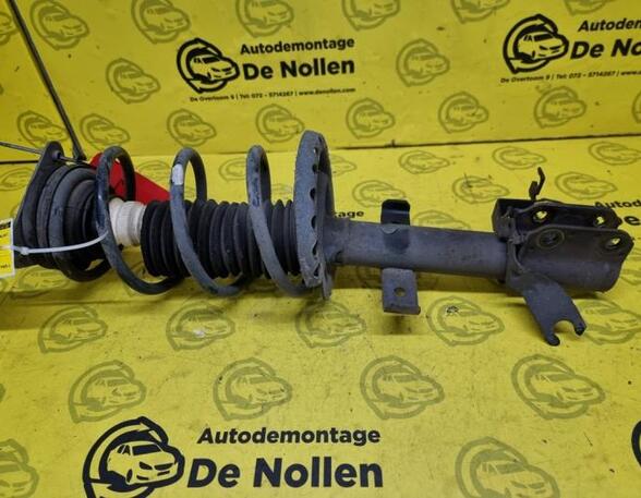 Shock Absorber RENAULT CLIO III (BR0/1, CR0/1), RENAULT CLIO IV (BH_)