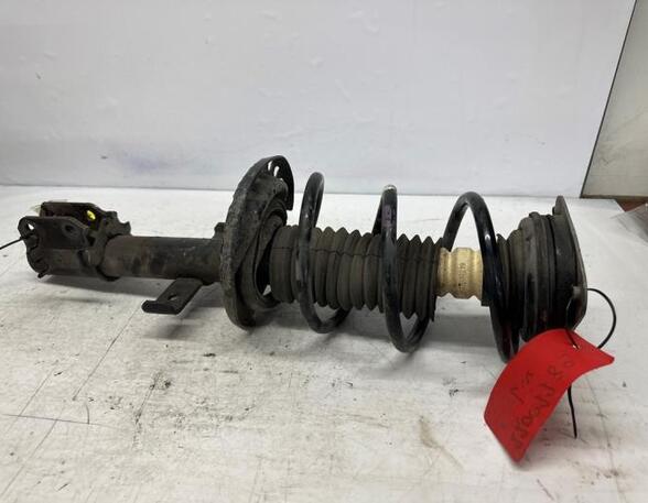 Shock Absorber RENAULT CLIO III (BR0/1, CR0/1), RENAULT CLIO IV (BH_)