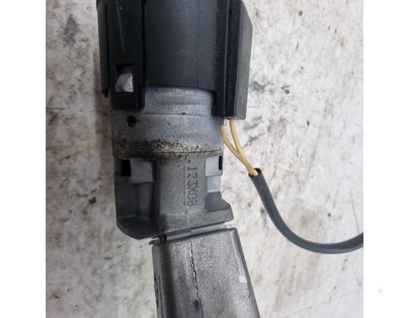 Ignition Lock Cylinder PEUGEOT 207 (WA, WC)