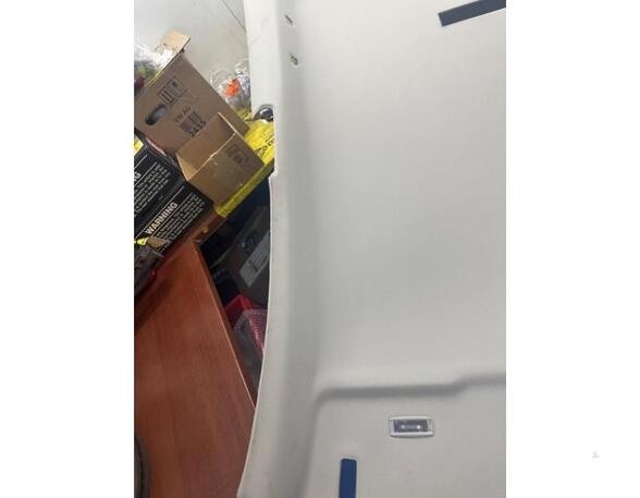 Front Interior Roof Trim Panel SEAT Leon SC (5F5)