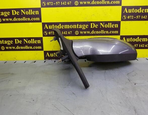 Wing (Door) Mirror RENAULT Megane Scenic (JA0/1)