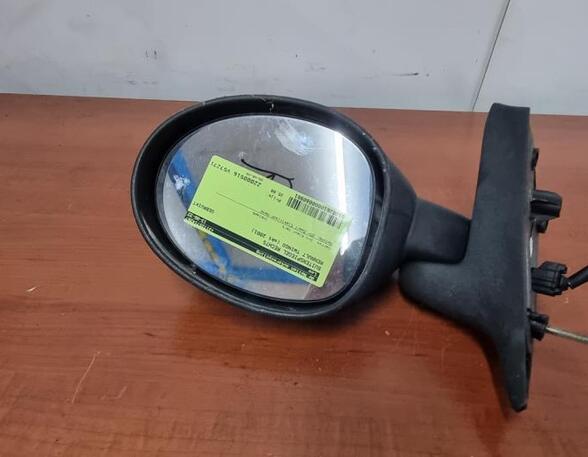 Wing (Door) Mirror RENAULT TWINGO I (C06_)