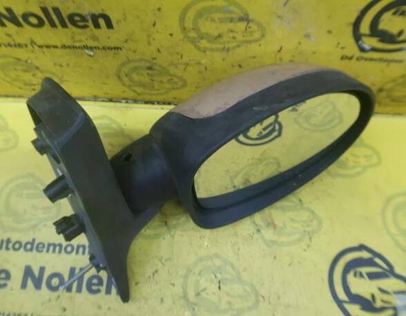 Wing (Door) Mirror RENAULT TWINGO I (C06_)