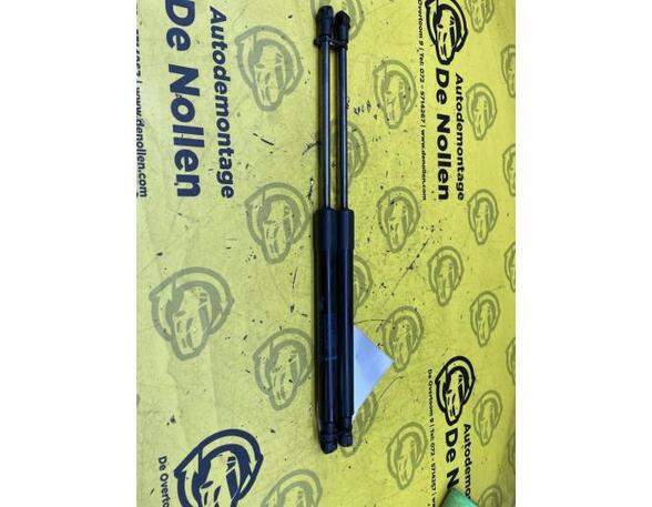 Gas Spring RENAULT Twingo II (CN0)