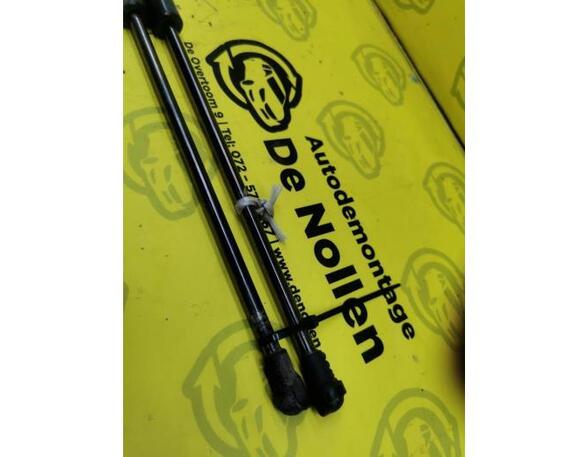 Bootlid (Tailgate) Gas Strut Spring FIAT Panda (169)