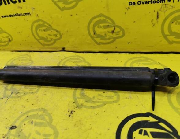 Bootlid (Tailgate) Gas Strut Spring PEUGEOT 207 (WA, WC)