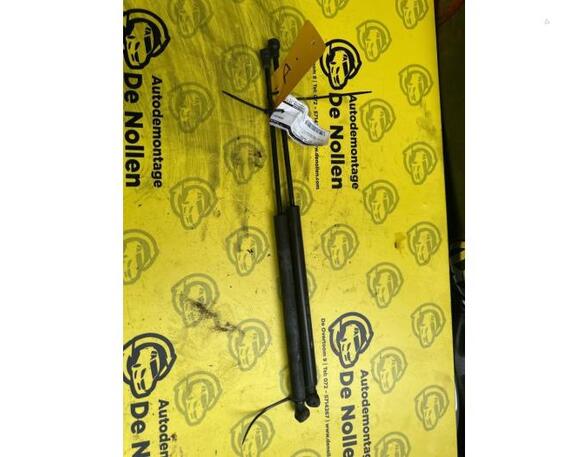 Bootlid (Tailgate) Gas Strut Spring PEUGEOT 207 (WA, WC)