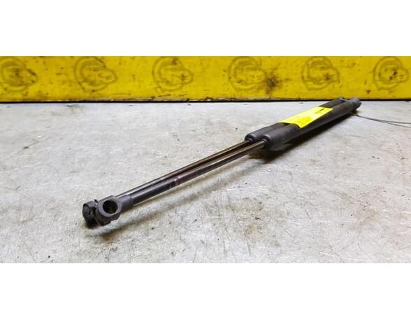 Bootlid (Tailgate) Gas Strut Spring SEAT IBIZA IV (6J5, 6P1), SEAT IBIZA IV SC (6J1, 6P5), SEAT IBIZA IV ST (6J8, 6P8)