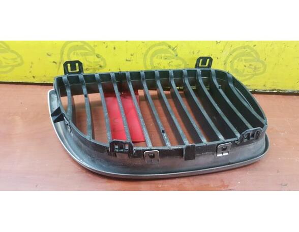 Radiator Grille BMW 1er (E87), BMW 1er (E81)