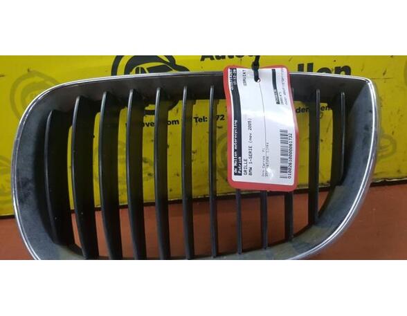 Radiator Grille BMW 1er (E87), BMW 1er (E81)