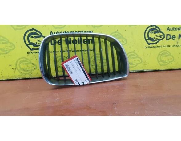 Radiator Grille BMW 1er (E87), BMW 1er (E81)