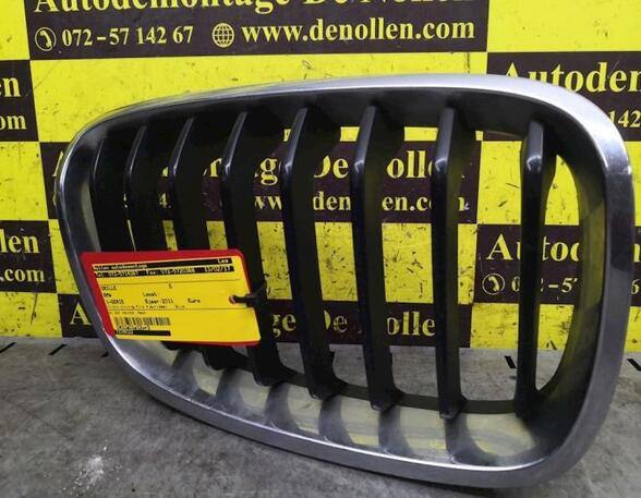 Radiator Grille BMW 1er (E81), BMW 1er (E87)