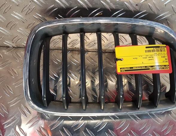 Radiator Grille BMW 1er (E81), BMW 1er (E87)