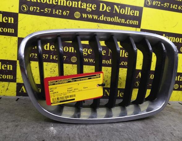 Radiator Grille BMW 1er (E81), BMW 1er (E87)