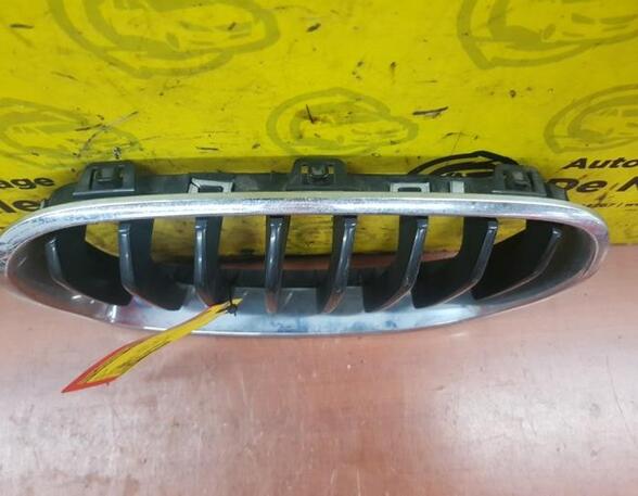 Radiator Grille BMW 1er (E81), BMW 1er (E87)