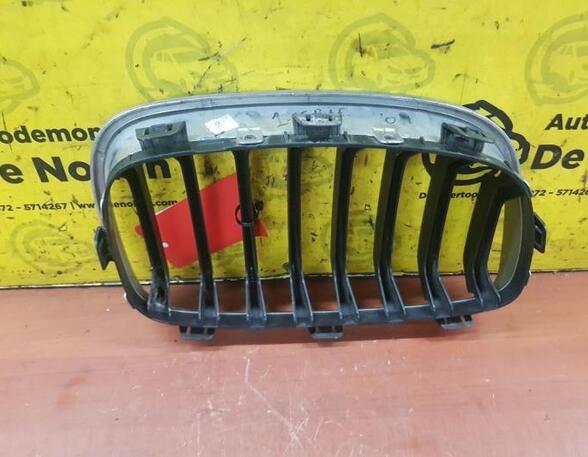 Radiator Grille BMW 1er (E81), BMW 1er (E87)