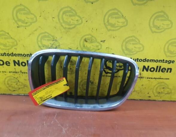 Radiator Grille BMW 1er (E81), BMW 1er (E87)