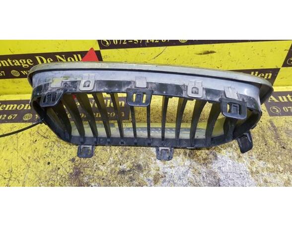 Radiator Grille BMW 1er (E87)