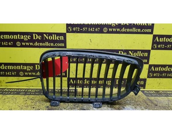 Radiator Grille BMW 1er (E87)