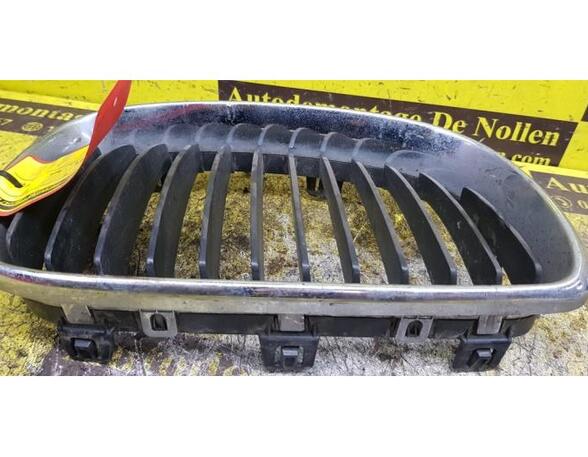 Radiator Grille BMW 1er (E87)