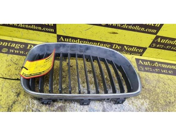 Radiator Grille BMW 1er (E87)