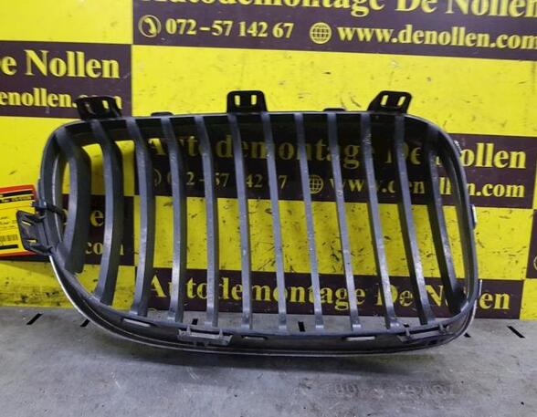 Radiateurgrille BMW 1er (E87)