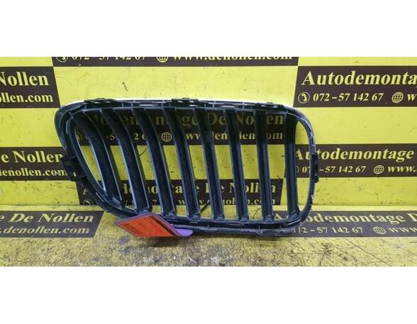 Radiator Grille BMW 2 Cabriolet (F23)