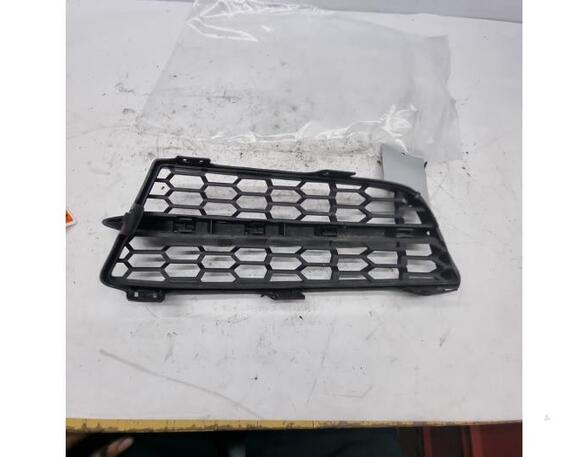 Radiator Grille BMW 1er (F21)