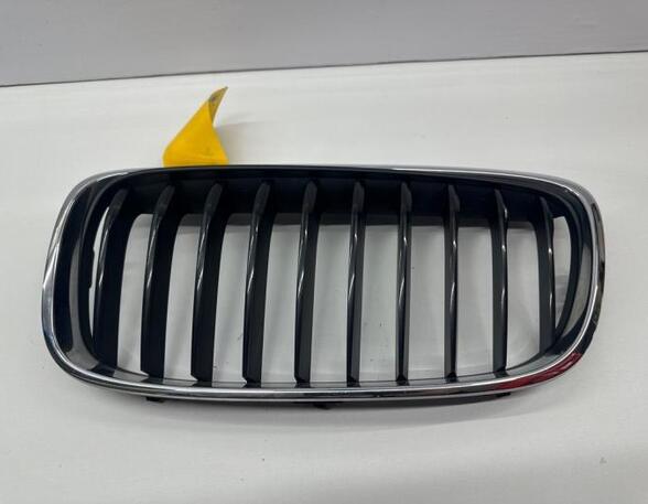 Radiateurgrille BMW 2 Active Tourer (F45)