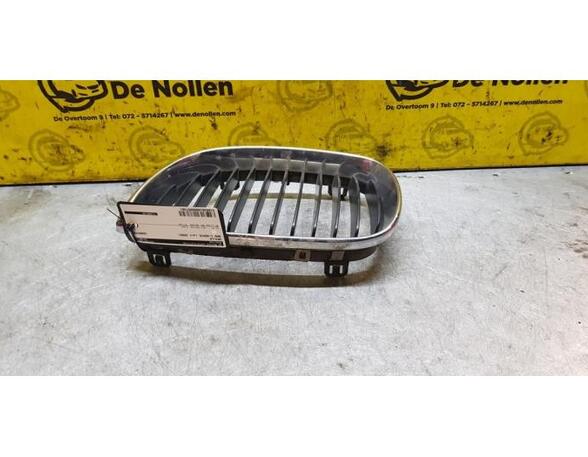 Radiator Grille BMW 1 (E81), BMW 1 (E87)