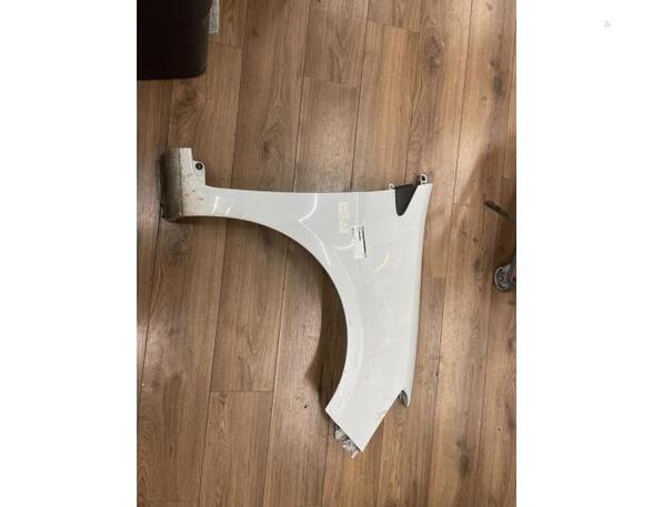 Spatbord RENAULT Clio III (BR0/1, CR0/1), RENAULT Clio IV (BH)