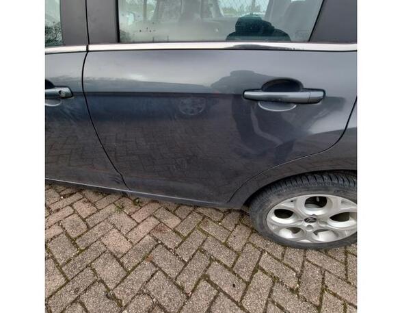 Door CITROËN C3 II (SC)