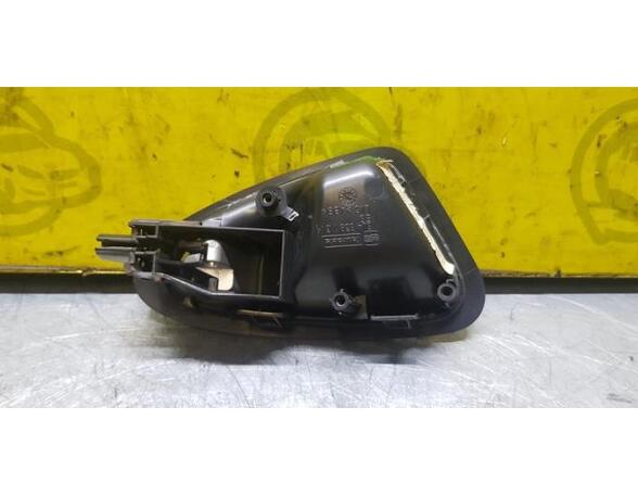 Door Handle SEAT Ibiza IV (6J5, 6P1), SEAT Ibiza IV Sportcoupe (6J1, 6P5)