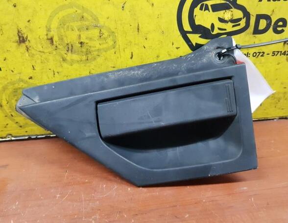 Door Handle RENAULT Twingo III (BCM)