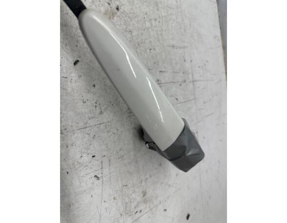 Door Handle BMW 1er (F21)