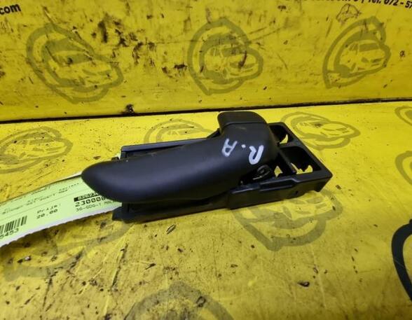 Door Handle HYUNDAI i10 (PA)