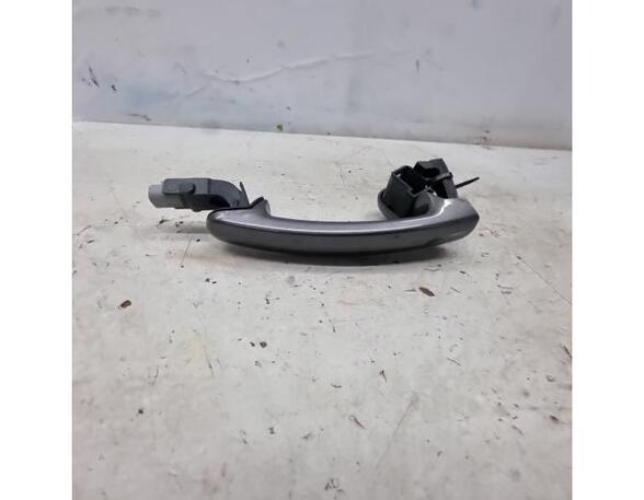 Door Handle VW TIGUAN (5N_), VW TIGUAN VAN (5N_), VW TIGUAN (AD1, AX1)