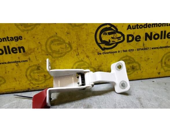 Door Hinge RENAULT Kangoo Express (FW0/1)