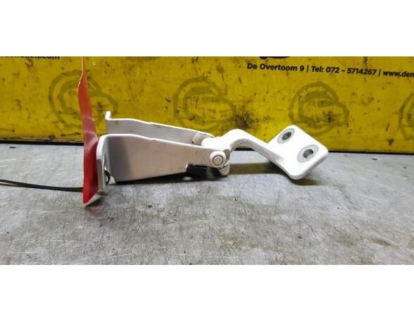 Door Hinge RENAULT Kangoo Express (FW0/1)