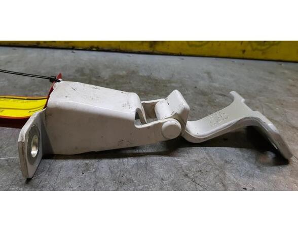 Door Hinge RENAULT Kangoo Express (FW0/1)