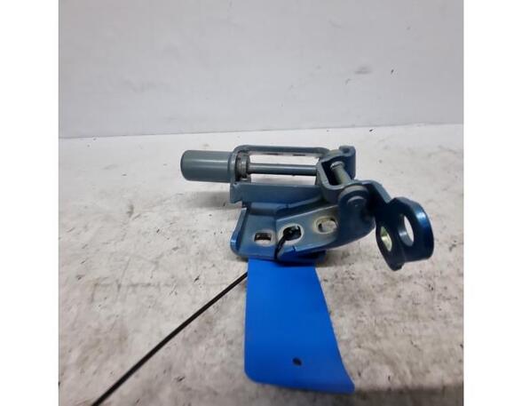 Door Hinge RENAULT Zoe (BFM)