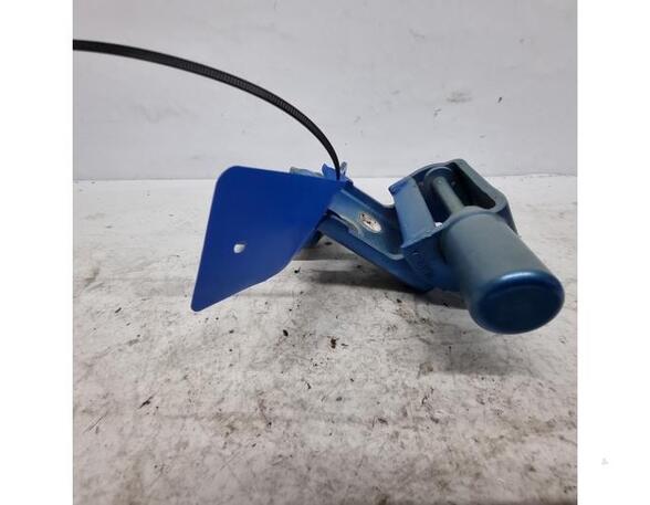 Door Hinge RENAULT Zoe (BFM)