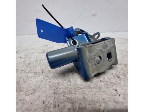 Door Hinge RENAULT Zoe (BFM)