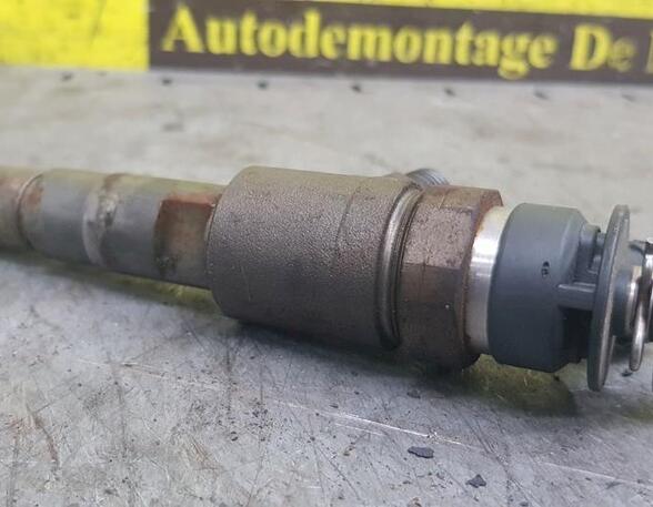 Injector Nozzle PEUGEOT 207 (WA, WC)