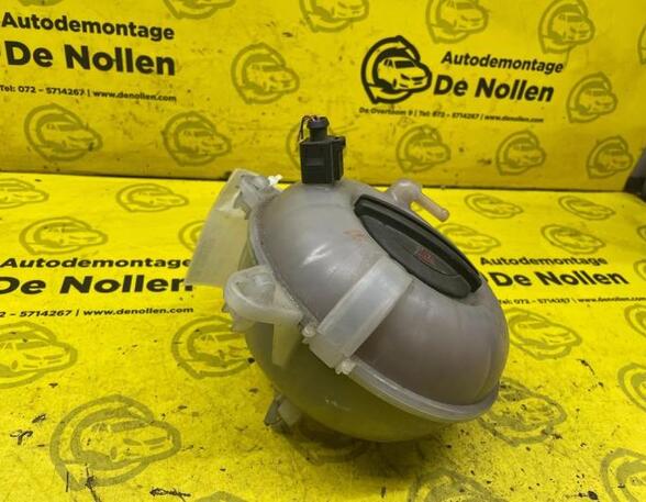 Coolant Expansion Tank SKODA Octavia III Combi (500000, 5000000)