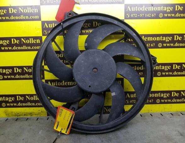 Radiator Electric Fan  Motor PEUGEOT 206 Schrägheck (2A/C)